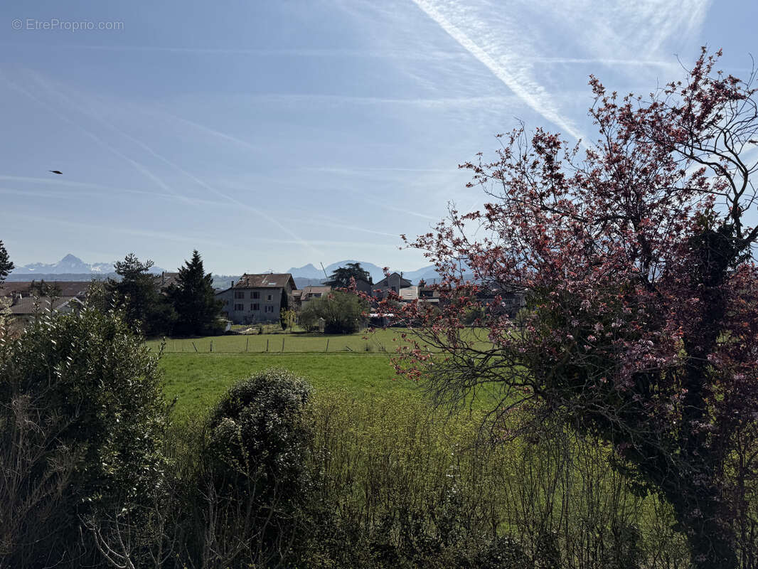 Maison à THONON-LES-BAINS