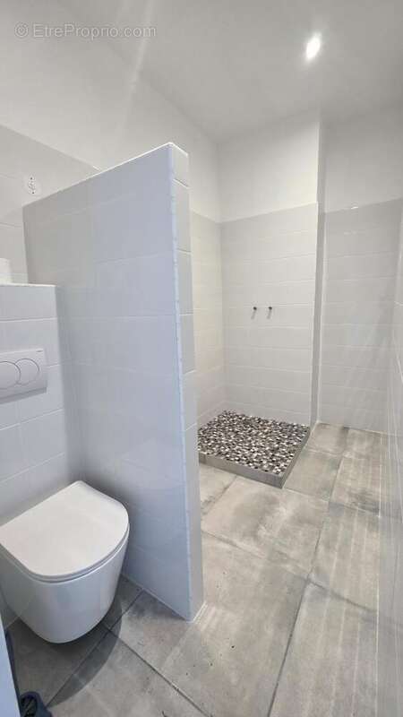 Maison à SAINT-NIZIER-LE-DESERT