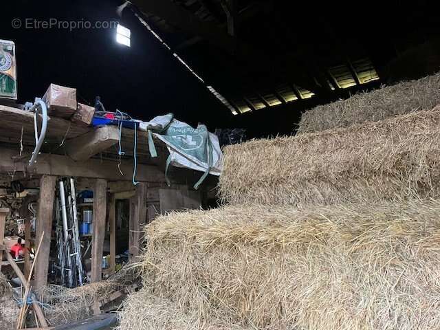 Charmante ferme en pierre avec dépendances et plus de 6 hectares de terrain - idéale pour les passionnés d'équitation - photo 15