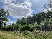 Terrain à BUSQUE