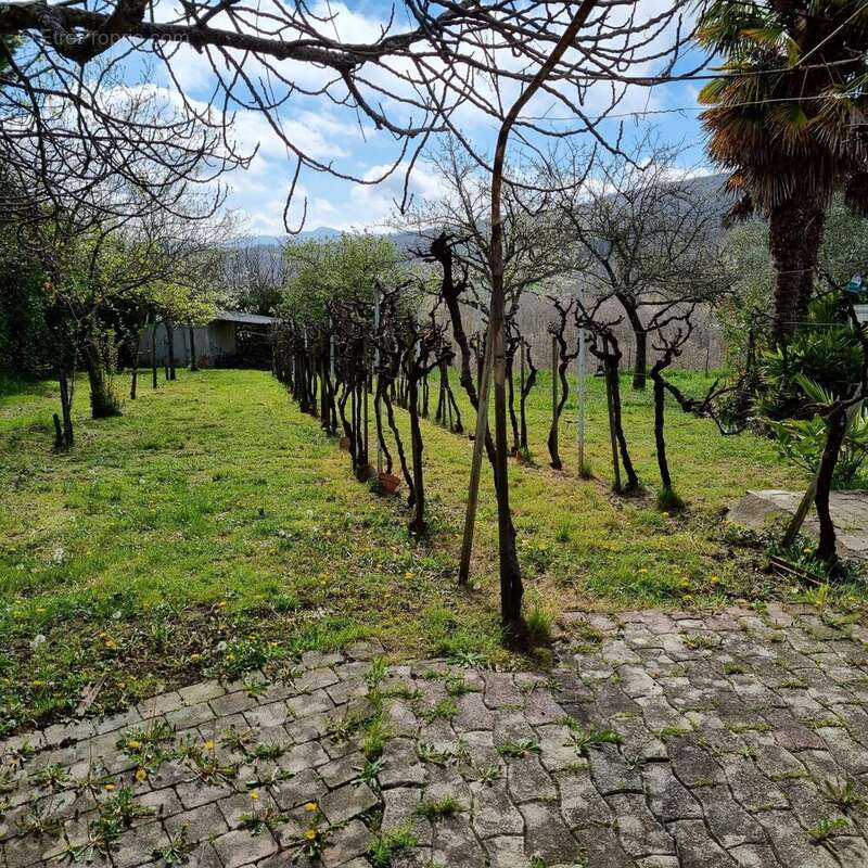 Maison 300 m² à Marignac-Laspeyres  - photo 7