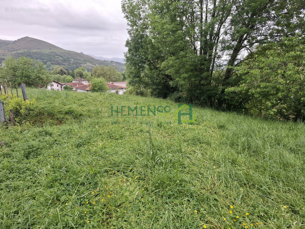 Terrain à SAINT-JEAN-LE-VIEUX