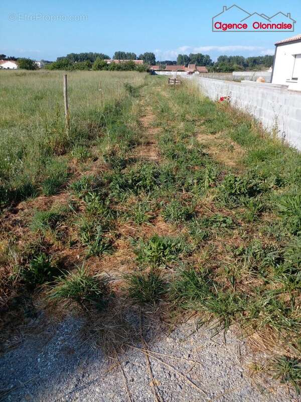 Terrain 1643 m² à L'ile-D'olonne  - photo 2