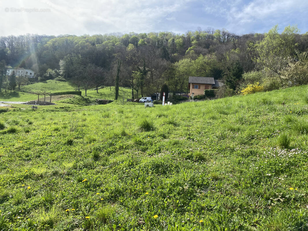 Terrain à SAINT-CASSIN