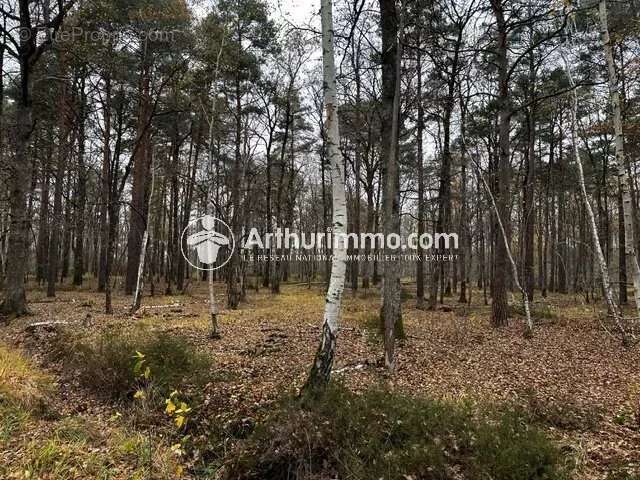 Maison à DAMMARIE-EN-PUISAYE