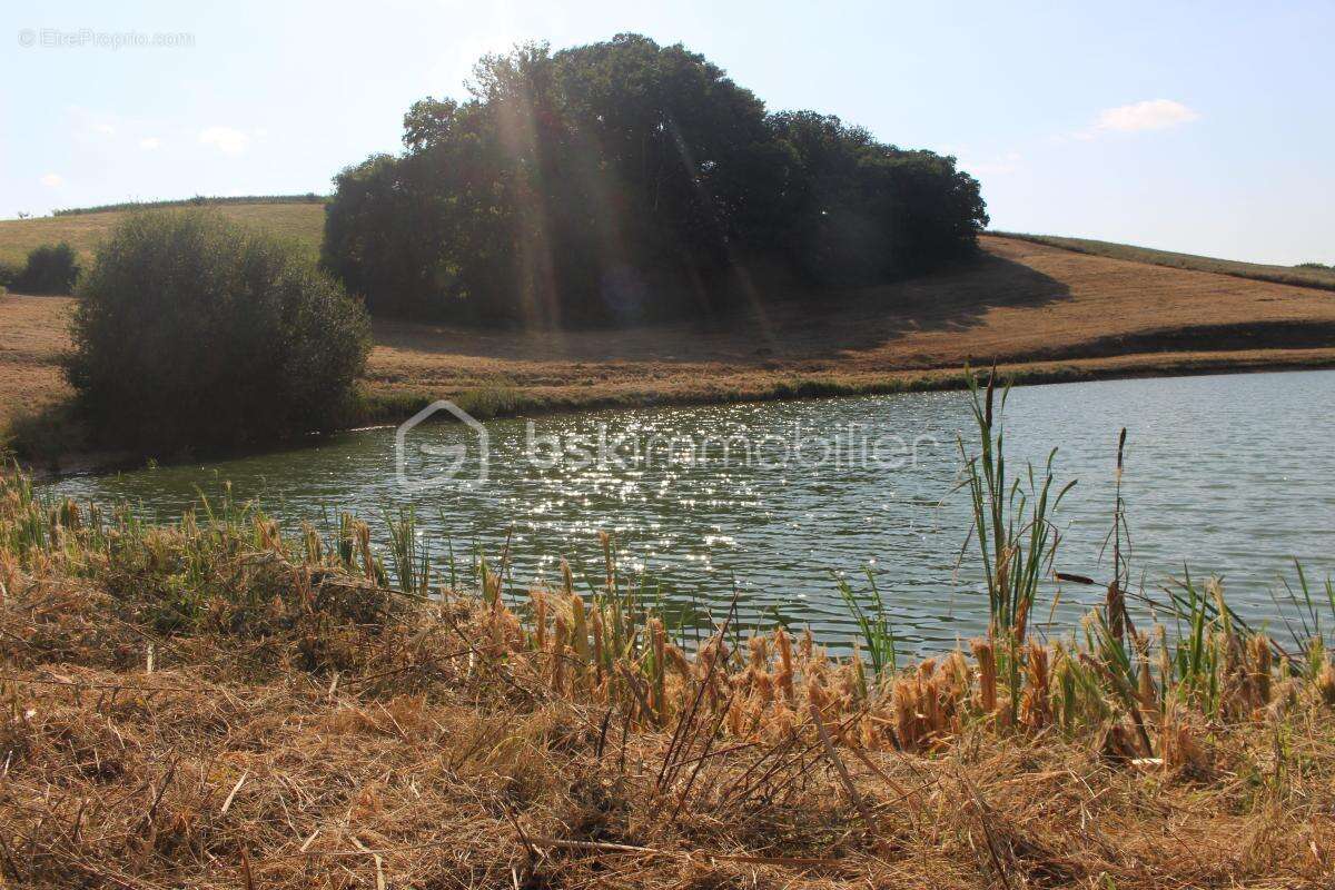 Authenticité et potentiel — Corps de ferme de 1797 sur 7 ha avec lac - photo 16