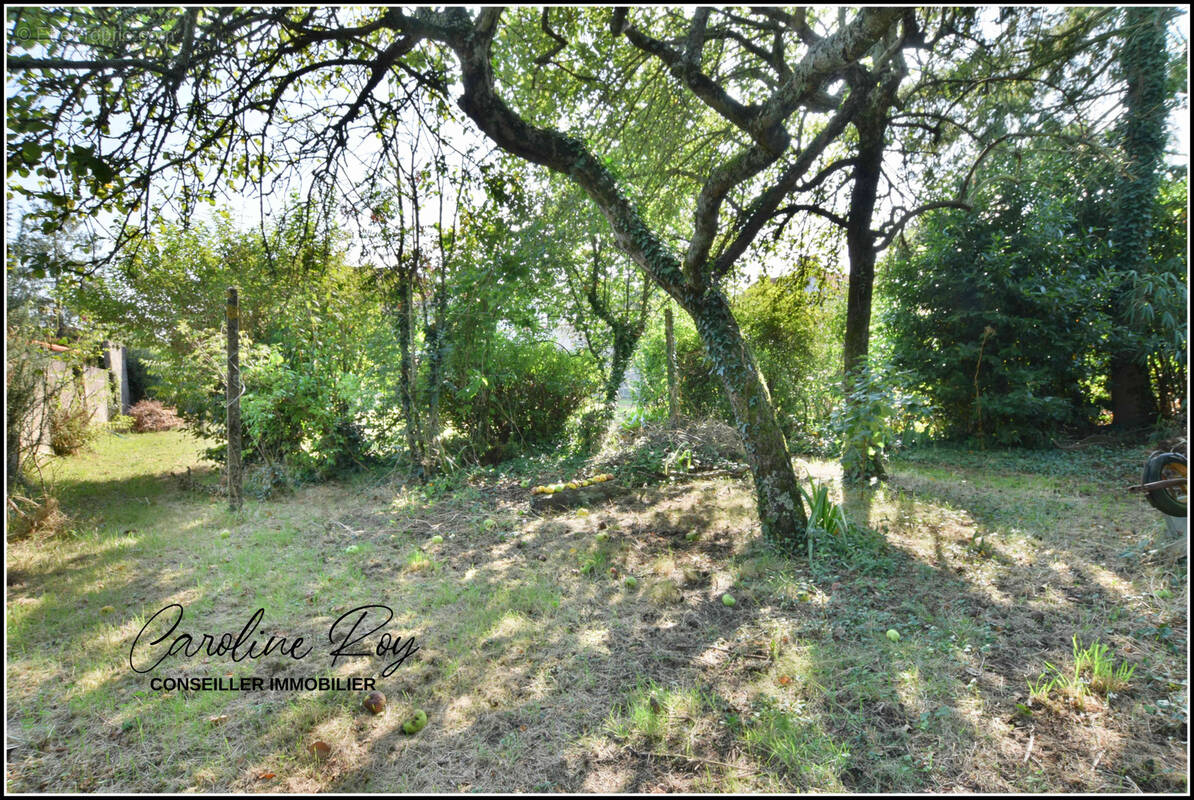 Terrain à CLISSON