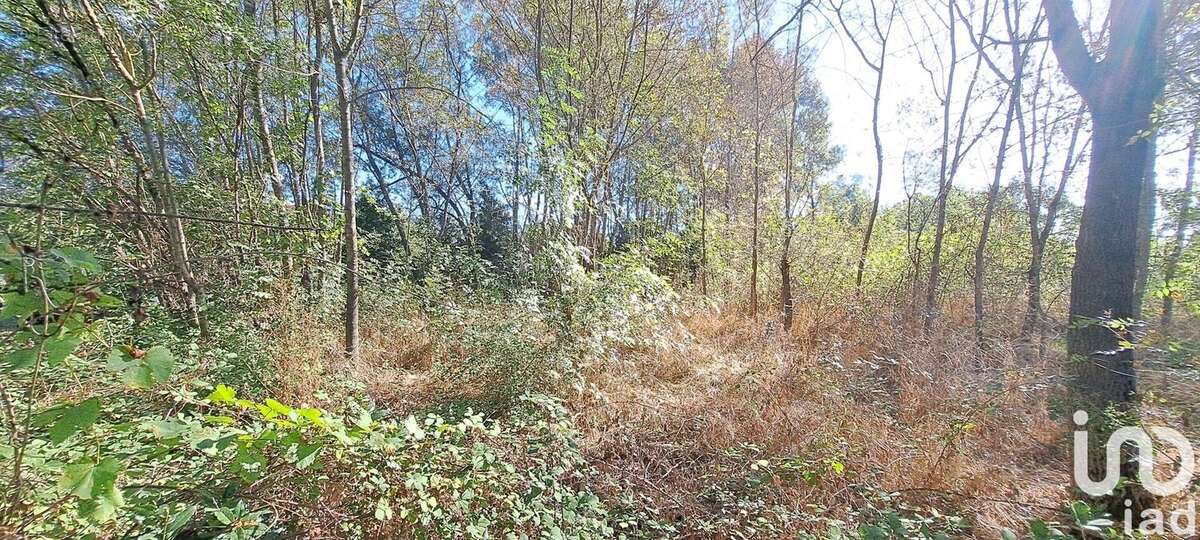 Photo 6 - Terrain à SAINT-CHRISTOL-LES-ALES