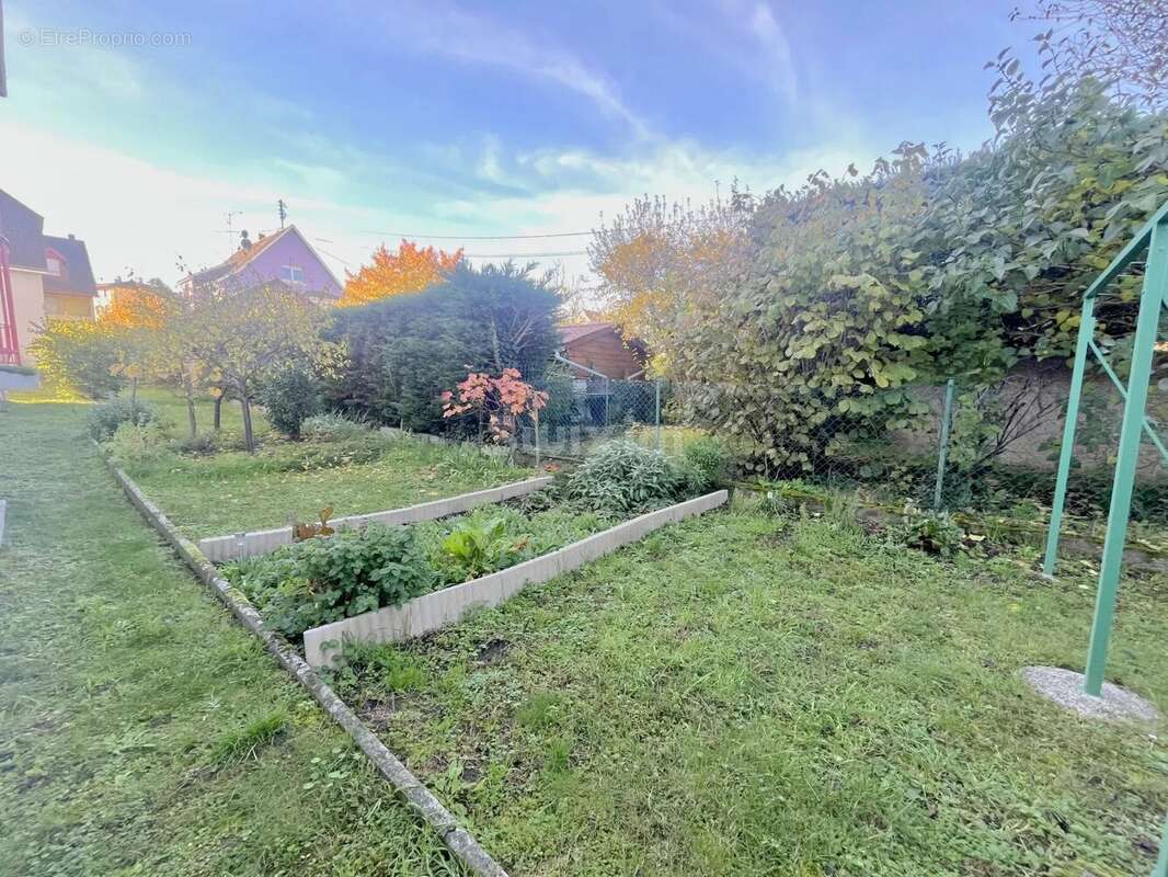 Appartement à INGERSHEIM