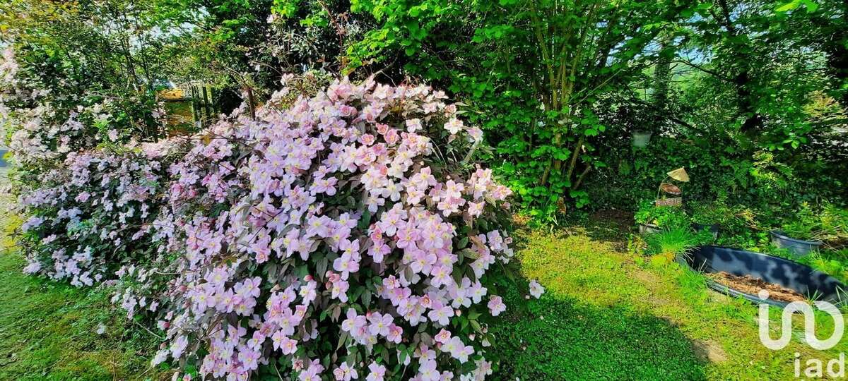 Photo 8 - Maison à LA VICOMTE-SUR-RANCE