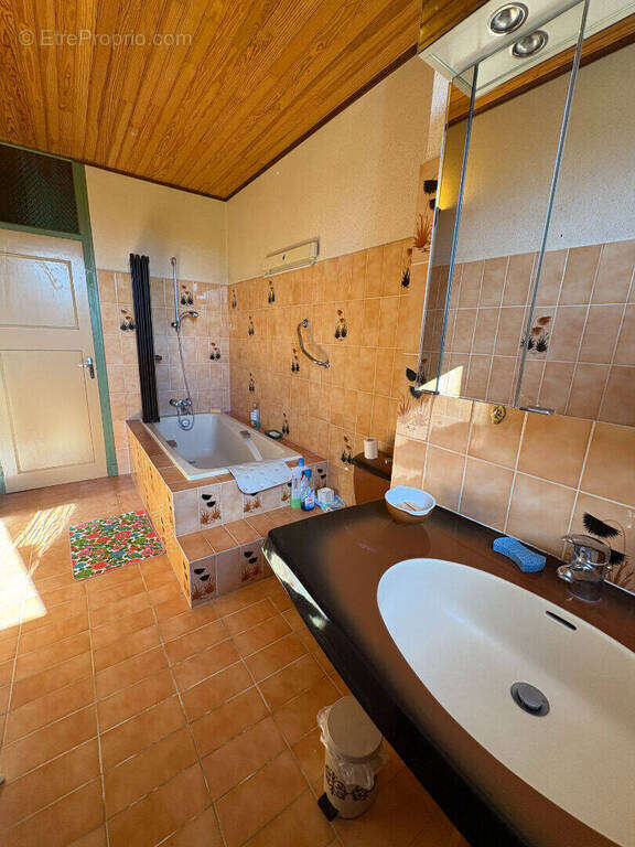 Maison à BADECON-LE-PIN