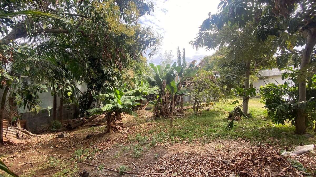 Maison à SAINT-PIERRE