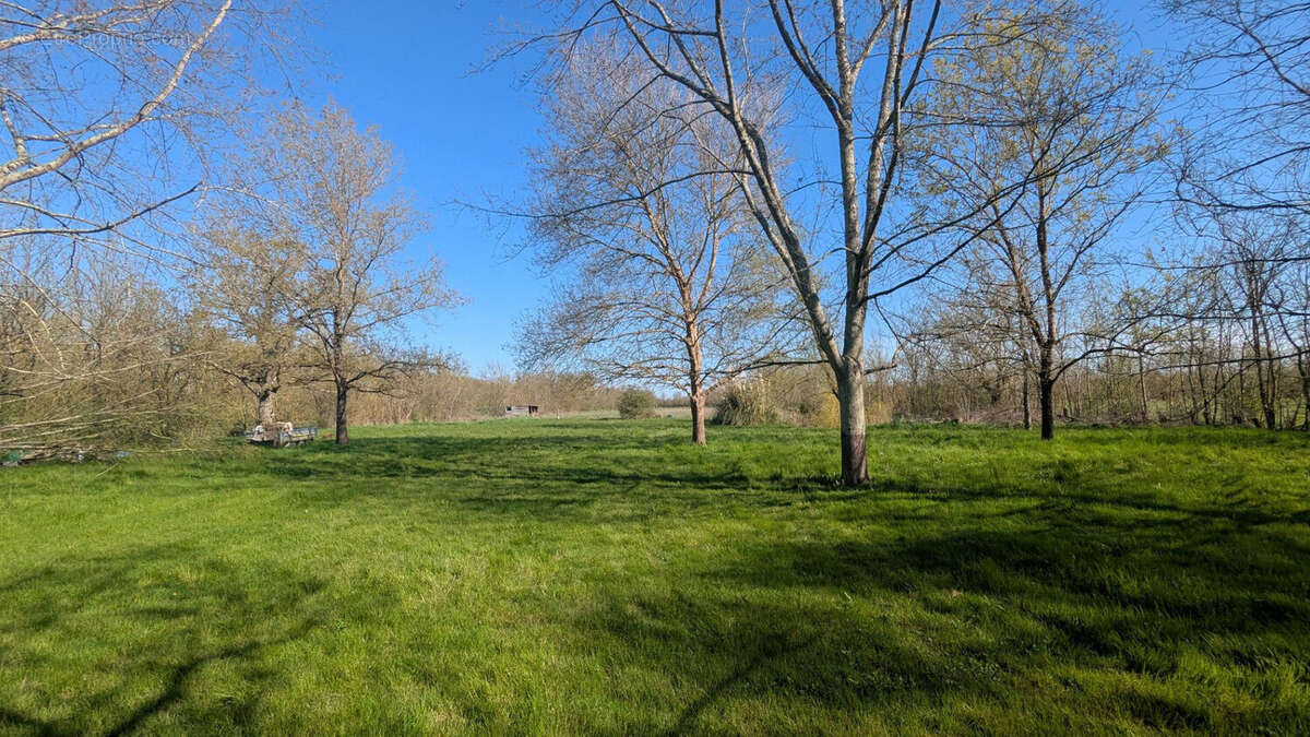 Photo 8 - Maison à MAILLE