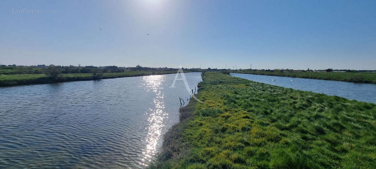 Terrain de loisir à poissons de plus de 2 hectares - photo 5