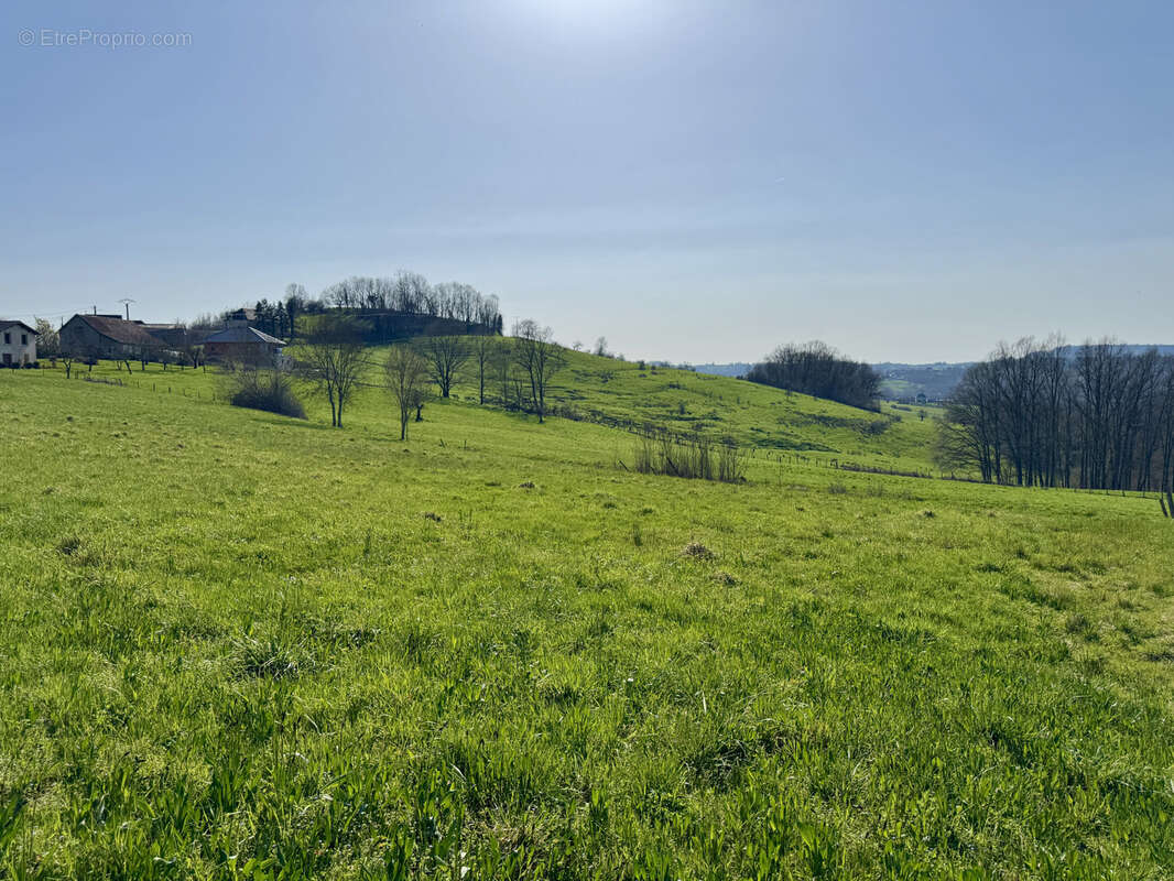 Terrain à ALLASSAC