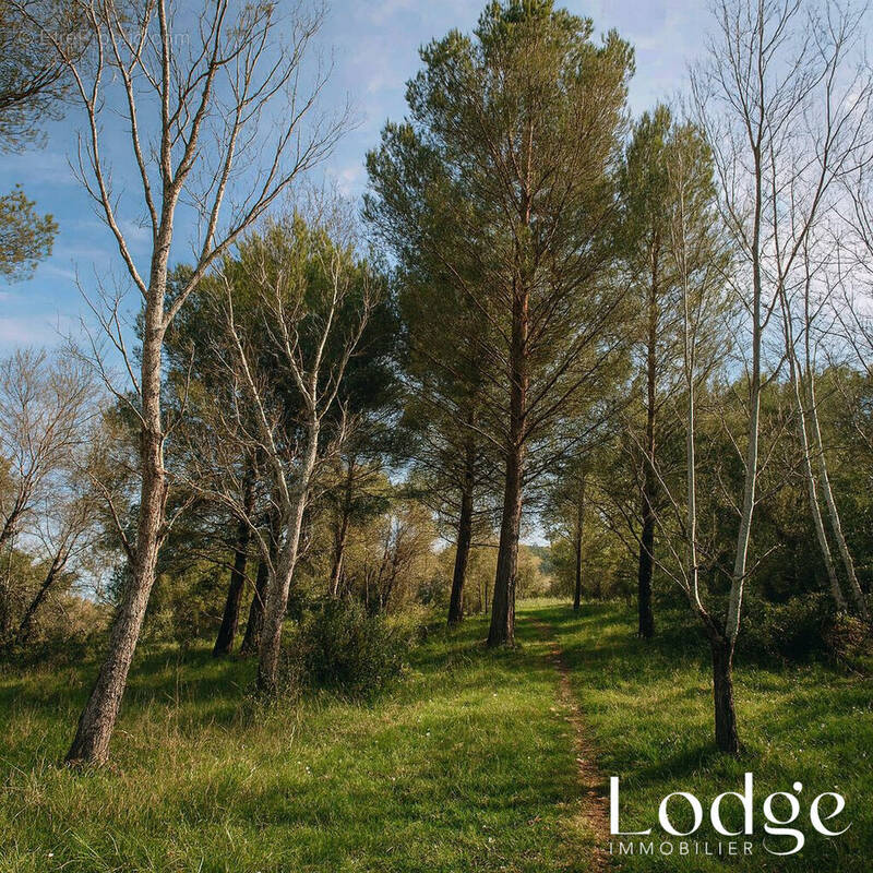 Terrain à MALLEMORT