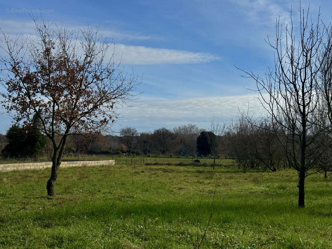 Terrain à LA BRUGUIERE