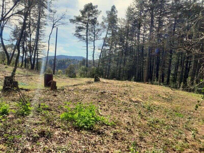 Terrain à SAINT-AMBROIX
