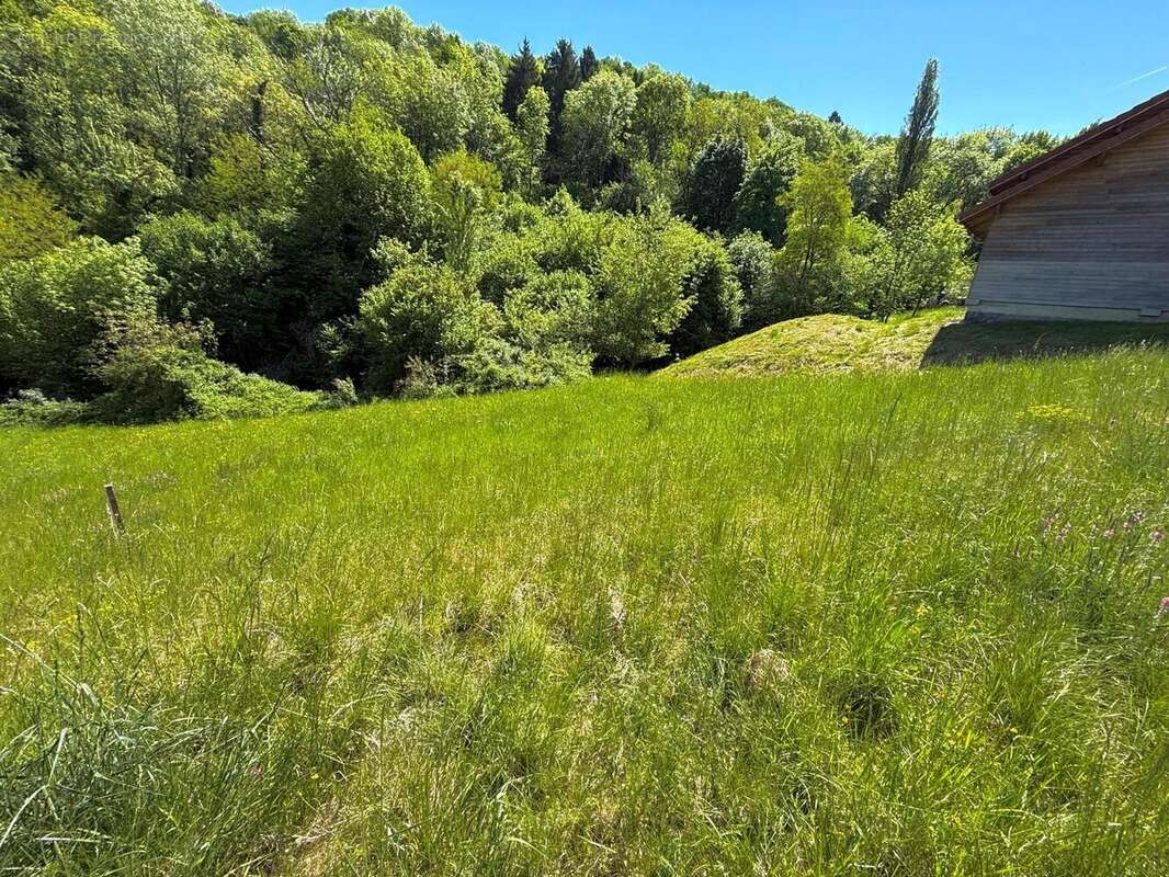 Terrain à LES MOLLETTES