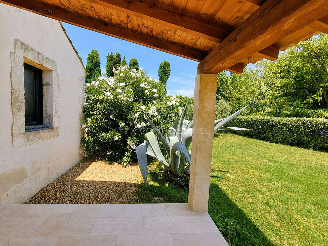Mas Saint Remy De Provence - photo 3
