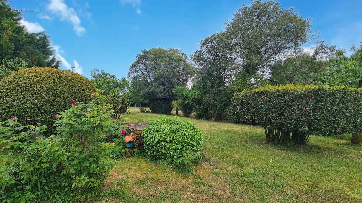 Photo 3 - Maison à SAINT-CHRISTOPHE-DU-LIGNERON