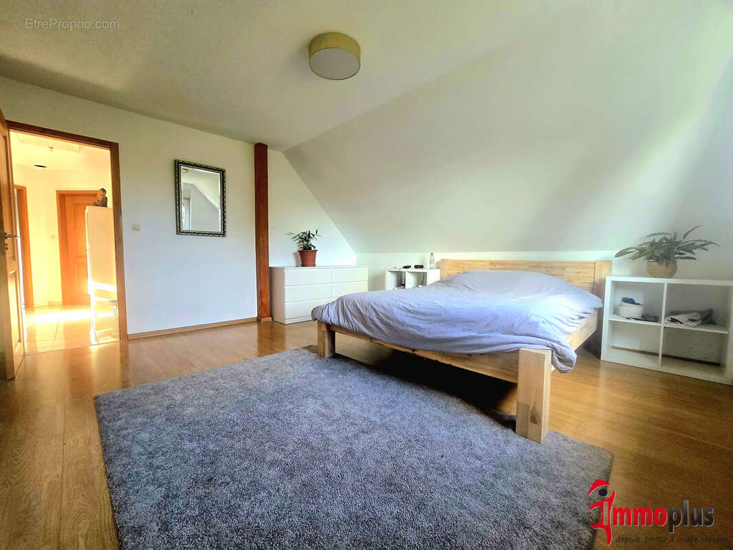 Rumersheim-Le-Haut : maison familiale 4 chambres et 1 studio - photo 15