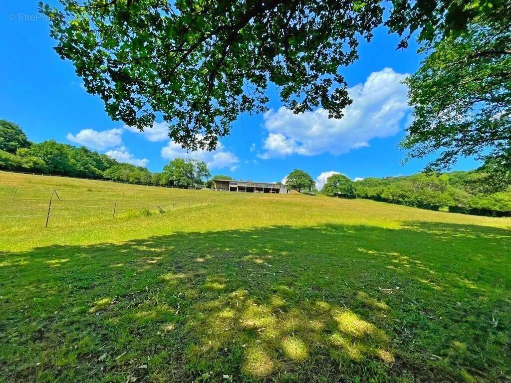 Exclusivité – Bourgogne, Morvan des Lacs – Secteur DUN-LES-PLACES - Une propriété de plus de 15 hectares, idéale pour une activi - photo 18