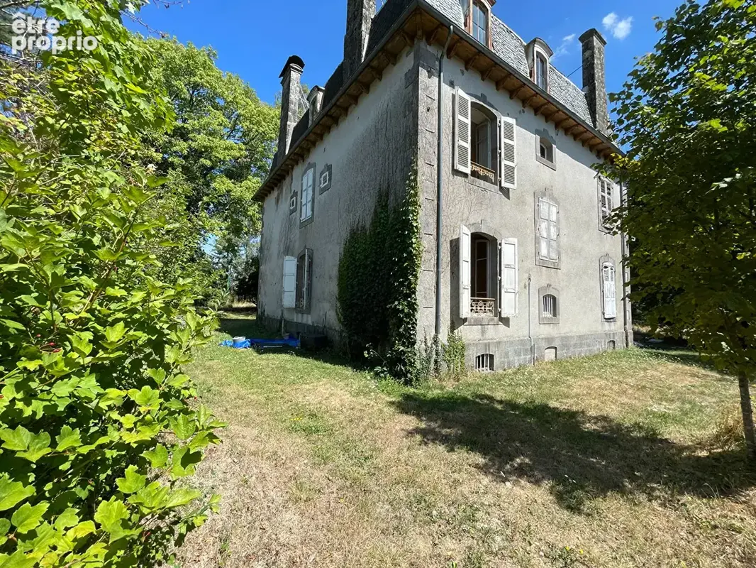 Deumeure de prestige aux portes d'aurillac - photo 2