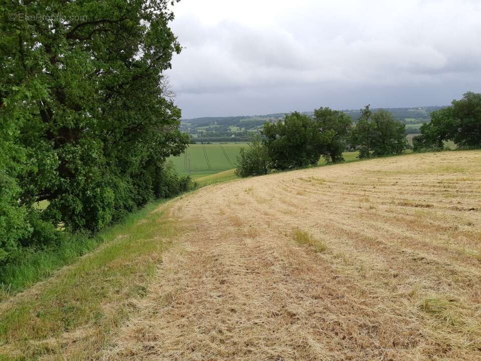 Terrain à MONTJOIRE