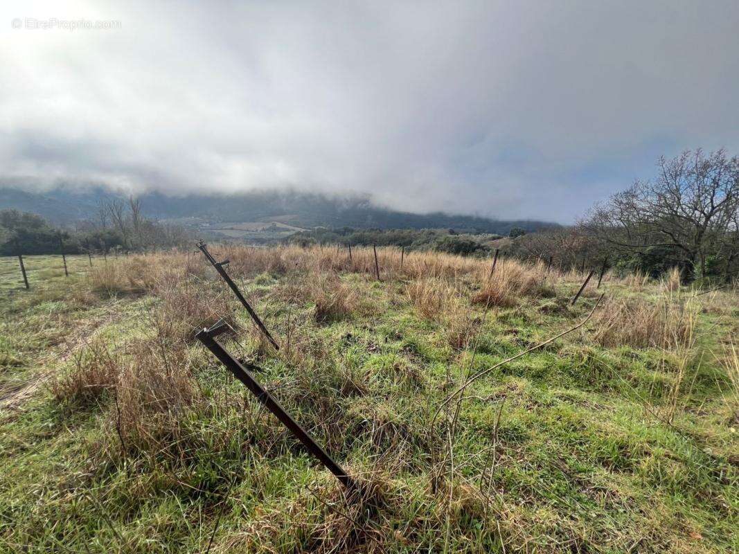 Terrain à MONS