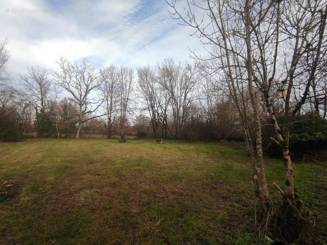 Maison à PUYLAROQUE