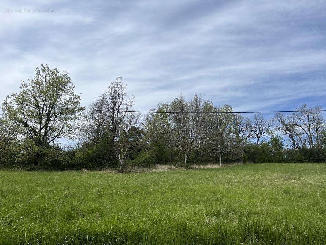 Terrain à SAINT-ROMAIN-LE-NOBLE