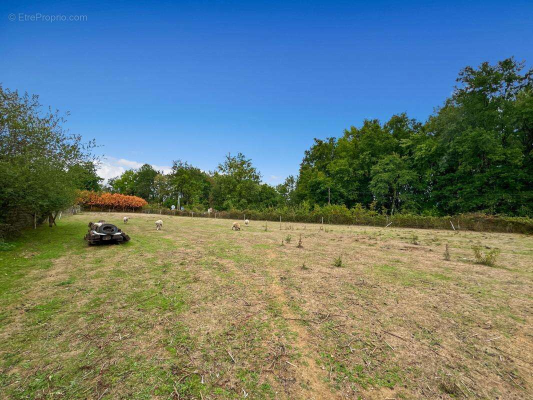 Terrain à SAINT-ASTIER