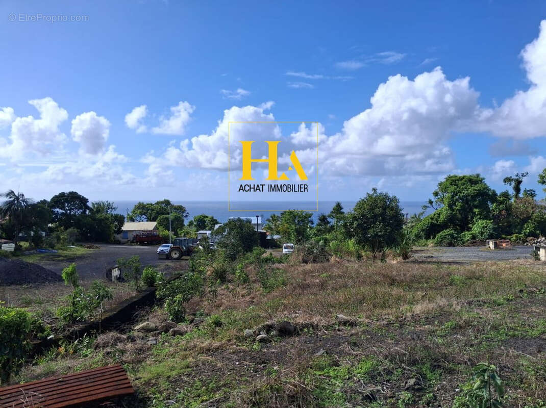 Terrain à SAINTE-ROSE