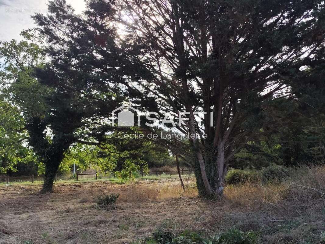 Photo 5 - Terrain à POULIGNY-SAINT-PIERRE