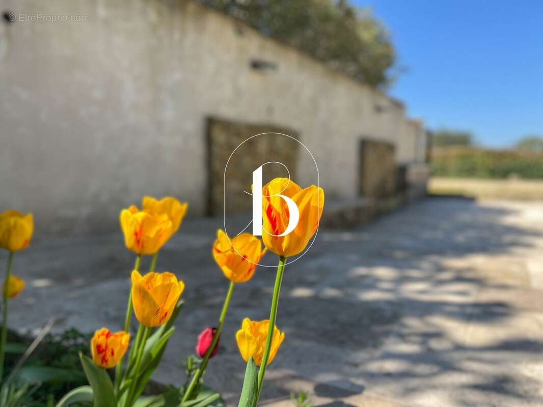 Maison à GOUDARGUES