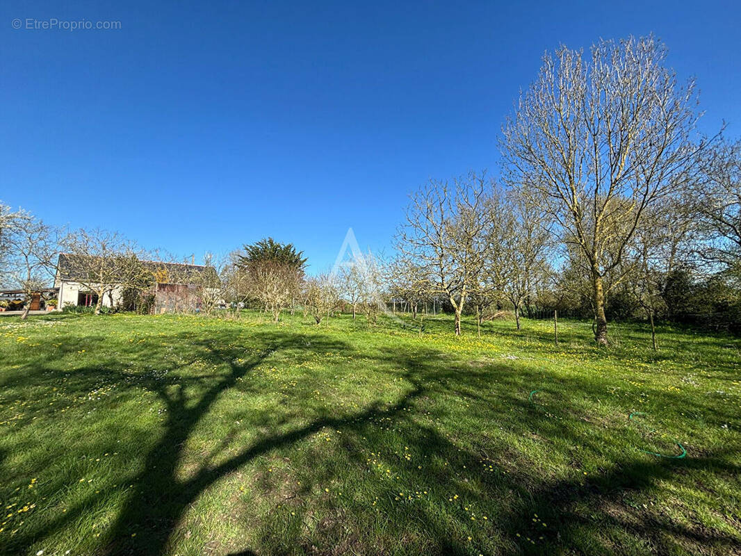 Maison à CHALONNES-SUR-LOIRE