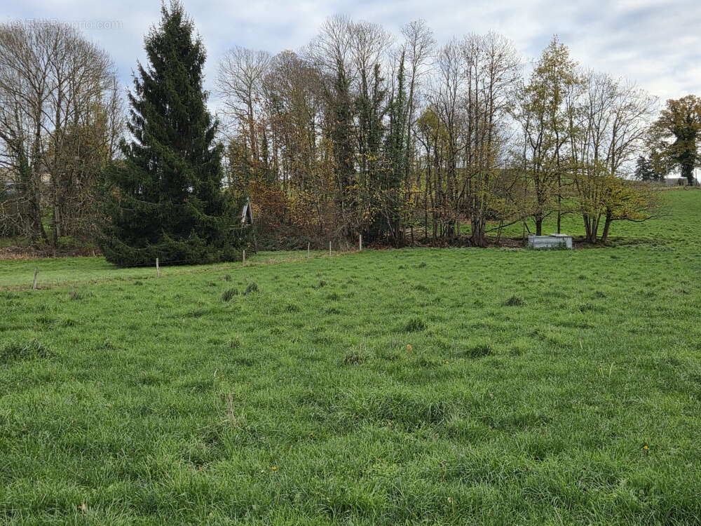 Maison à SAINT-PIERRE-DE-FURSAC