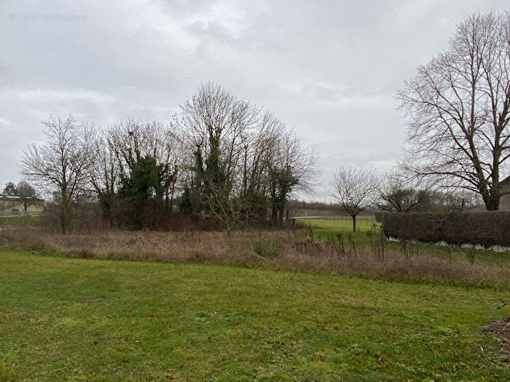 Terrain à FERE-CHAMPENOISE