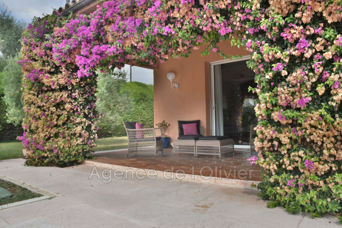Maison 196 m² à Valbonne  - photo 7