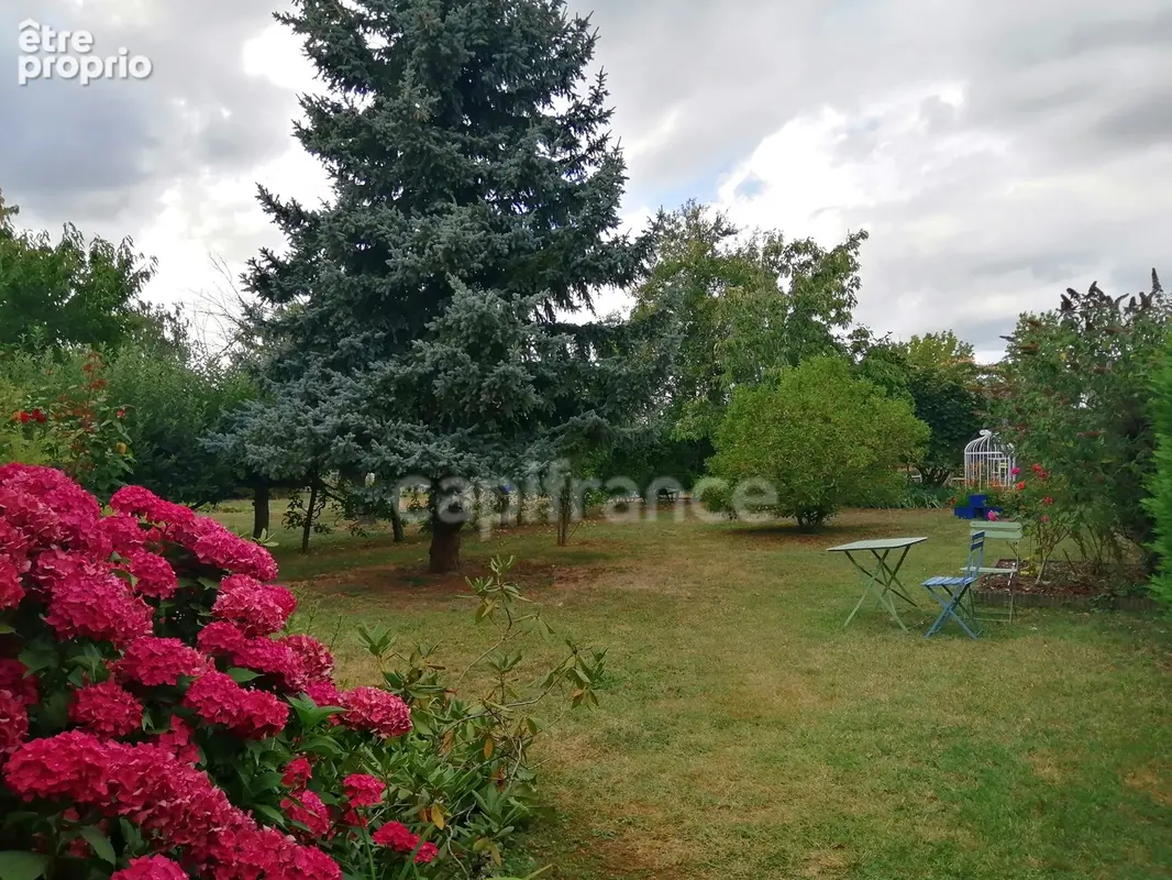 Noyers-sur-Cher (Loir-et-Cher), à vendre LONGERE familiale 7 pièces de 180 m² - photo 8