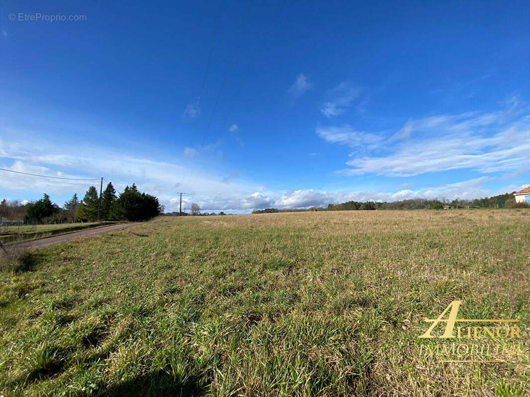 Terrain à CHAMPAGNAC-DE-BELAIR