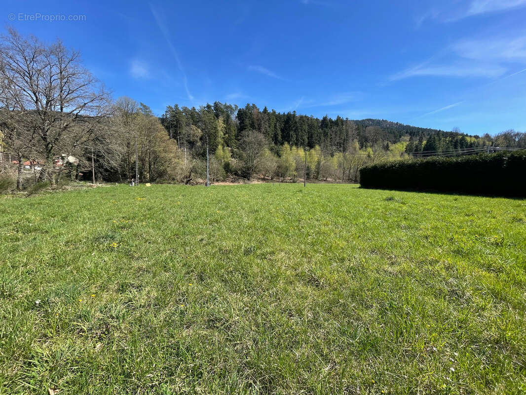 Terrain à SAINT-ETIENNE-LES-REMIREMONT