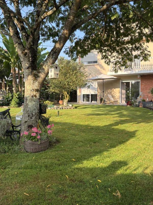 Maison à BUZET-SUR-TARN