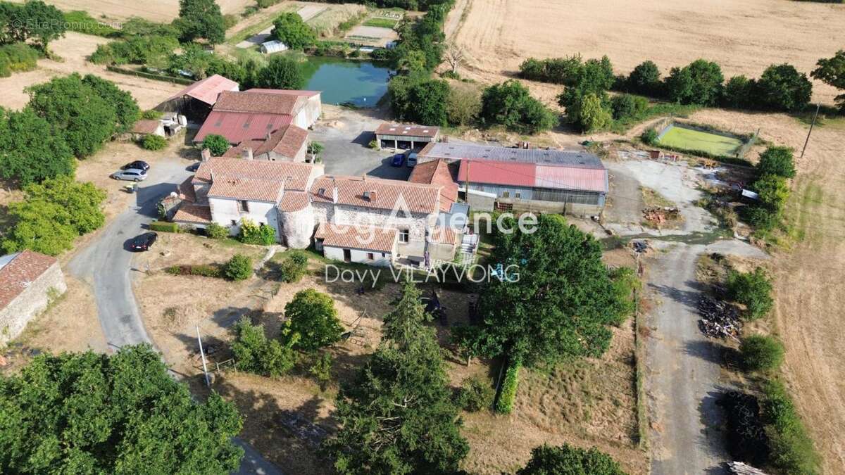 Domaine rare - photo 9