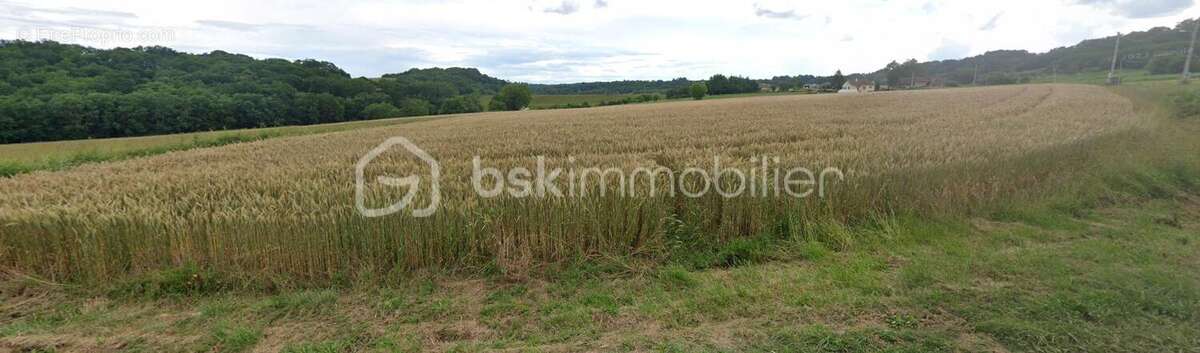 Terrain agricole - photo 3