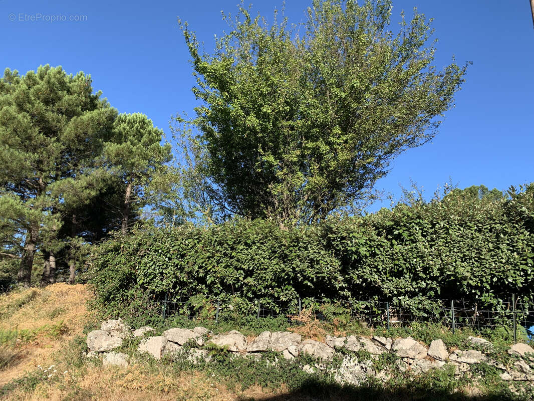 Terrain à bâtir à Cartalavone, commune de Porto-Vecchio - photo 14