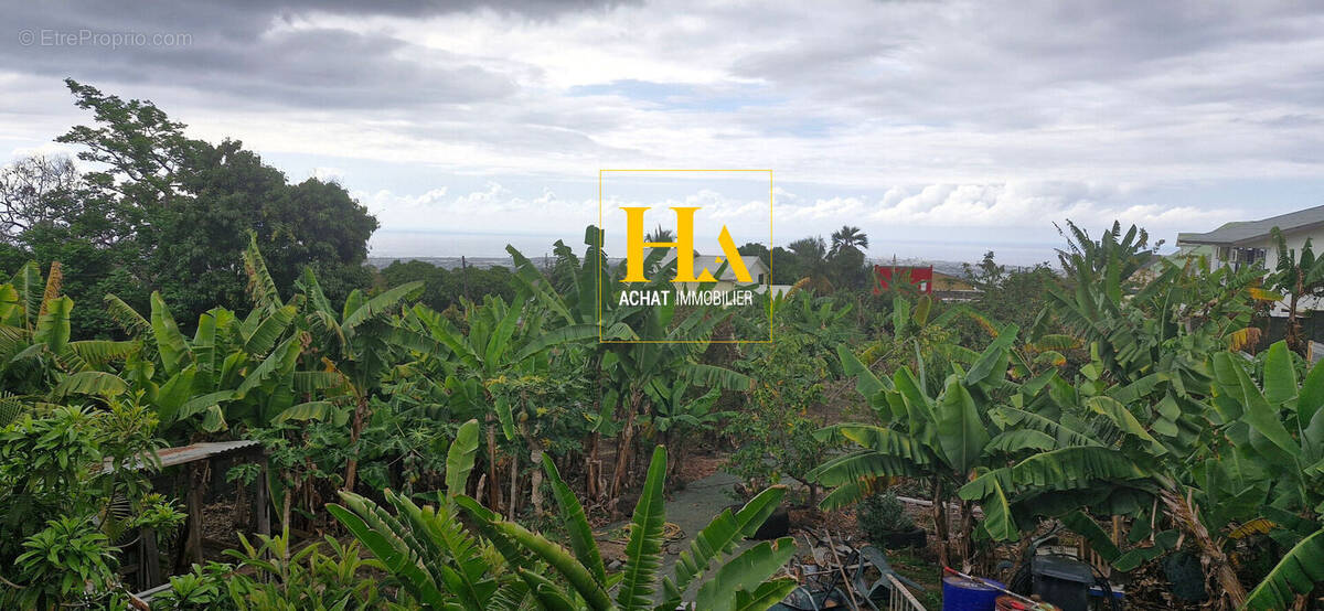 Terrain à SAINT-PAUL