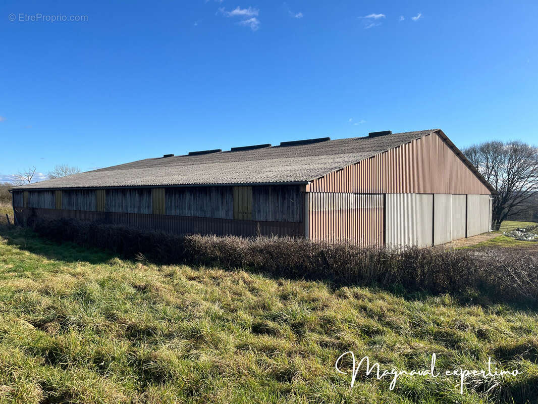 Ferme ovine de 39 HA avec fermages complémentaires possibles dans le LOT 46 OCCITANIE - photo 8
