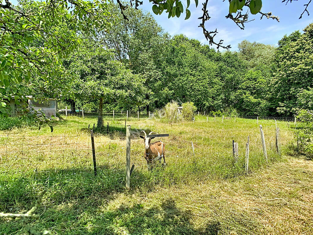 Maison style bourgeoise et division de terrain possible à vendre sur la commune de Gesté - photo 2
